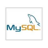MySQL